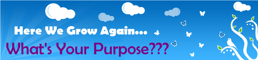 whatsurpurpose